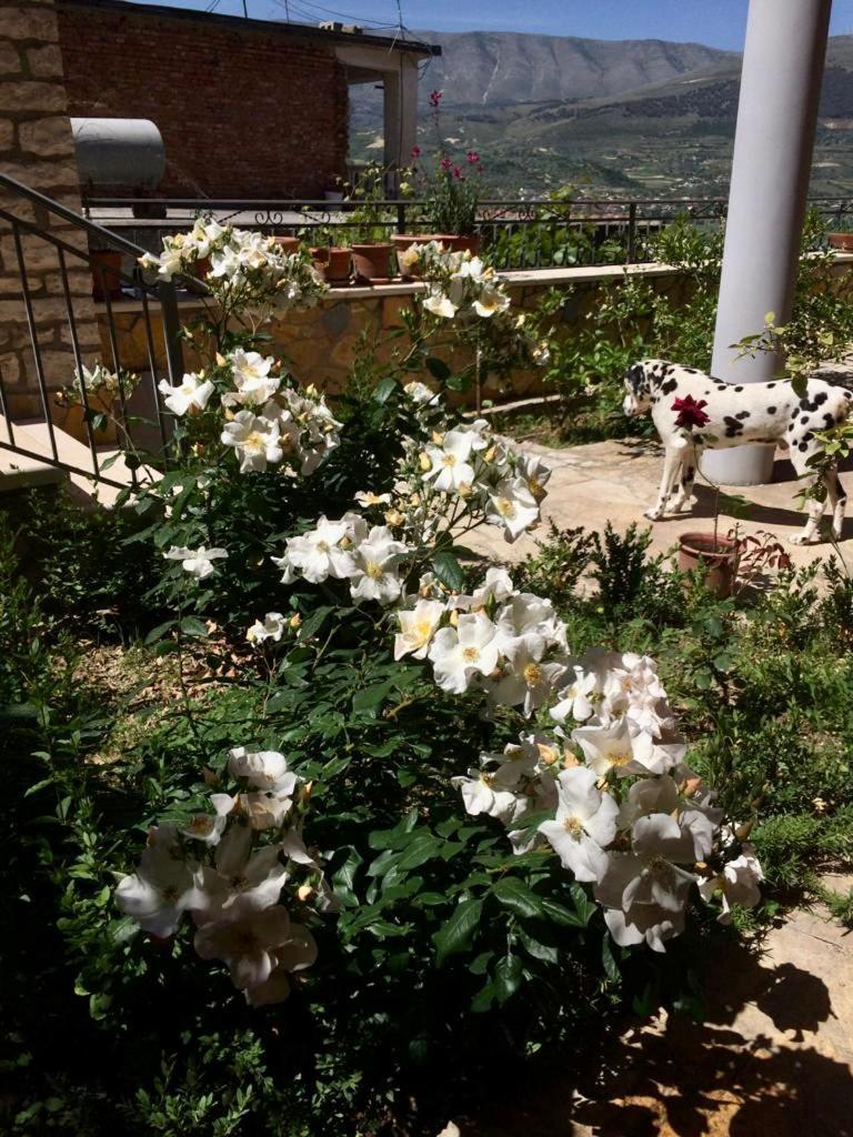Guesthouse Villa Rosa בראט חדר תמונה